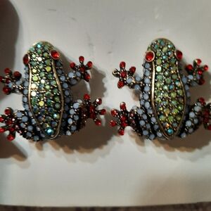 Colorful Frog Earrings